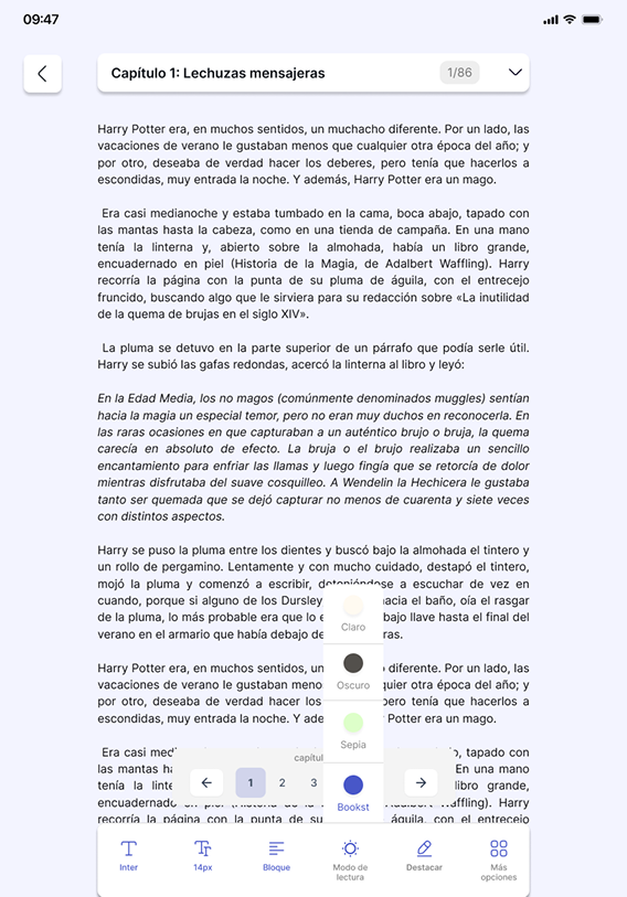 Paso 4: Registro de lectura