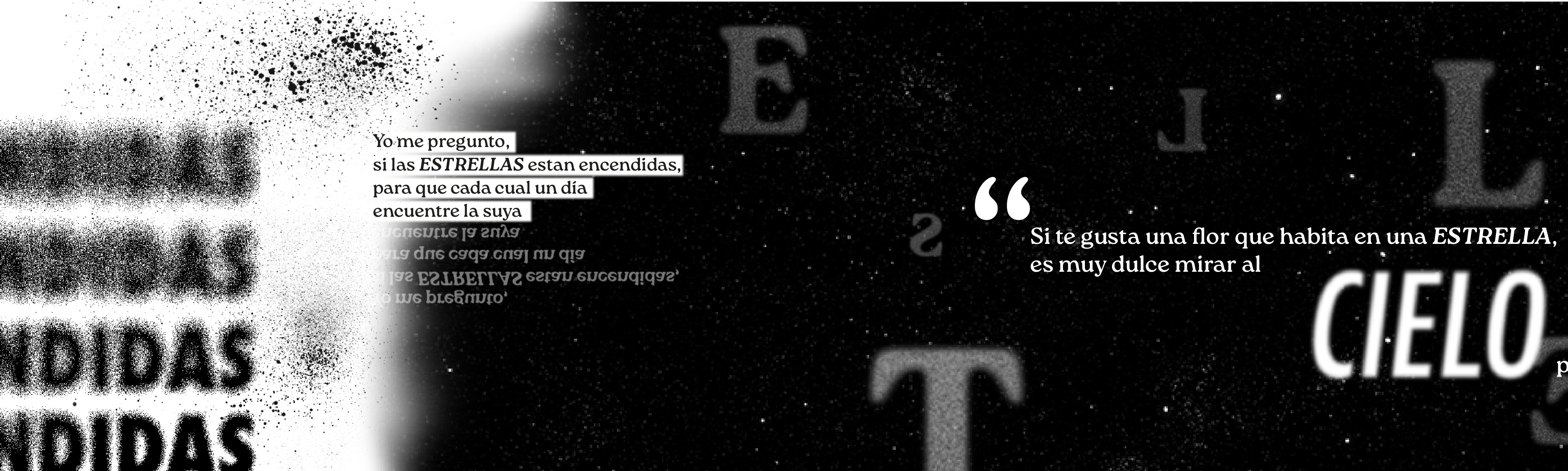Vista previa Tira Tipográfica 02